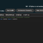 How To use Boyan’s Online Python Interpreter